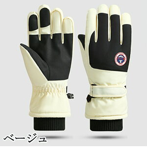 �X�L�[ �O���[�u �h���O���[�u ���f�B�[�X �����Y ���l �X�L�[ �X�m�[�{�[�h �X�m�{ �O���[�u �~�g�� ��� �ܖ{�w�o�R �o�C�N ���]�� ����~�� �h�� �h�� �h�� ���� �g���� �X�}�z�Ή� ���N��