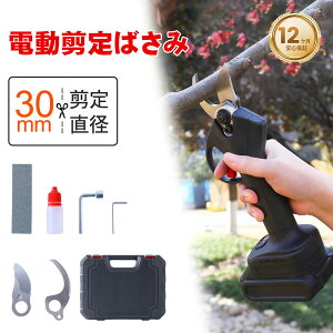 }L^݊ [doT~ [d ؒfa30mm  ֐n R[hX 18V21V d ֐n d΂  2iKJpx }L^obe[݊ }؂//ʎ d