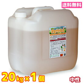 業務用 食器洗浄機 食洗器 洗剤 送料無料 20kg 1個 中性 オセナS-B-A　ホシザキ等各種メーカーに対応