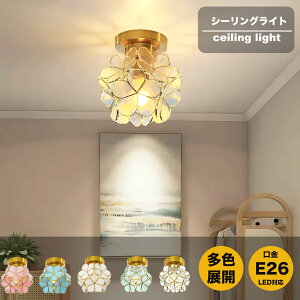 V[OCg 1 E26 ledΉ   V[O Cg Ԃт Ԍ^ k KX  led ^V[OCg VƖ V䃉Cg ݂艺 Cg AeB[N r