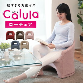 Calula-カルラ- ローチェア LSGT-イリス | 一人用 ソファ 椅子 肘掛け お年寄り 低い椅子 ソファー コンパクト 高齢者 座敷椅子 一人掛け 座椅子 高座椅子 和室 1人用ソファ チェア 立ち上がり 軽量 軽い おしゃれ あぐら椅子 あぐら座椅子 あぐら 高齢者向け 胡坐 低い