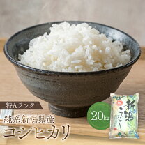 楽天市場】コシヒカリ 20kgの通販