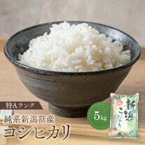 楽天市場】新米 令和5年 コシヒカリ（食品）の通販