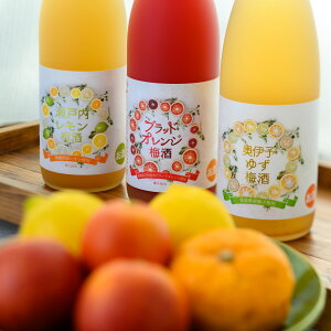 TJC ~3ݔ׃Zbg ubhIW~ ˓~ ɗ\䂸~ UOG2024 S~i]