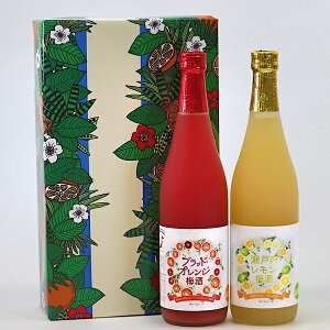 ubhIW~ 720ml  ˓~ 720ml  Zbg ~ QY ubhIW~ 2021N~i] ܎ TJC Mtg Fa  v[g 蕨 