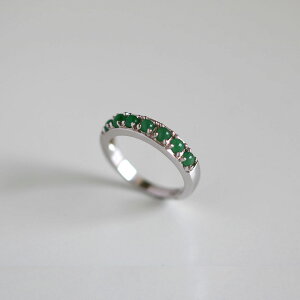 Ő OŐ̃Vo[OŃGKgɁI݌ɌyŐCOSVz(SS) AŐ