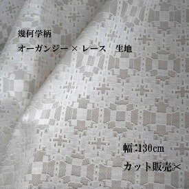 レース　オーガンジー　貼り合わせ　ナチュラル　ハリ感　カーテン　布小物　かばん　目隠し　インテリア