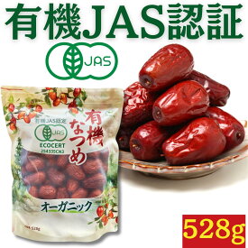 有機なつめ 528g ★日本有機認証JAS取得 100%オーガニック デーツ 無農薬 無添加 砂糖不使用 大粒 有機棗 ドライフルーツ ドライなつめ 乾燥なつめ ドライナツメ 干しなつめ なつめ茶 サムゲタン 薬膳 漢方 妊活 鉄分 赤い棗