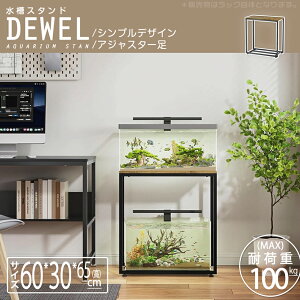 y}\Ԍ10{Pz  60cm X^h 60 g DEWEL s30 p bN ʋCǂ Ebhf RX^h [ ω׏d150kg  ؖڒ