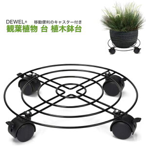 yX[p[Z[5{Ptz LX^[t ϗtA  Aؔ u v[g t[X^h |bN ԑ LX^[t u a30cm ω׏d 50kg ړ֗