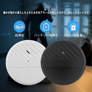 wX[p[Z[!ESALE5{Ptx ^hƊ hƃA[ oX 2FI Iseebiz ΍ hƃA[  hAp UZT[ x@ hƃObY 125dBʂɍXV ^