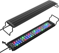 楽天市場】led ライト サンゴ 60センチの通販