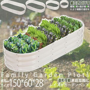 y100~OFFN[|tzCYhxbh K[f CYhK[fxbh K[fjO bL diy\ ی` l^ 120cm a62cm DEWEL v^[{bNX K[f  Ԓd K[f