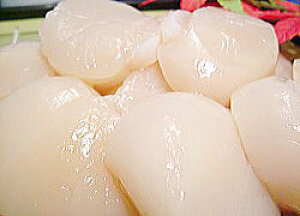 قĊL vbv  z^eL 2kg E LkȂ  ق L Ⓚz^eL ʔ Ⓚ ق hgp   z^eyV ʔ i ̔ yY LO Mtg