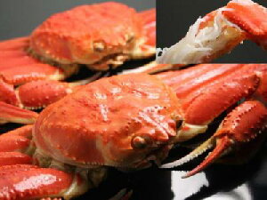 送料無料 福井 越前かに 通販 越前ガニ シルバーセット越前がに(雄の福井県 越前蟹 ずわい蟹Lサイズ1杯と雌のせこかに 7杯(せいこ 蟹)入福井 越前ガニ 活 を茹上 越前ガニ 鍋用 にも エチゼ