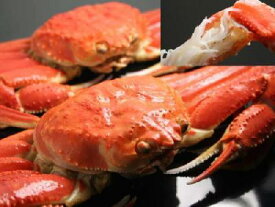 日本海産 ズワイガニ ずわいがに 姿　オス　1尾ズワイ 蟹 Lサイズ 送料無料 国産 ずわい蟹 かに 送料無料 送料込 価格日本産 ズワイカニ ずわいかに通販 限定 楽天 お土産 中元 お中元