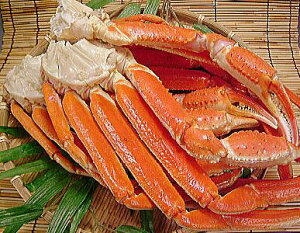 YCKj   킢  10kg YCI Ⓚ {C YCKj  kt g킢I g 킢  r rg  iJj ɓ I  yV ʔ i  