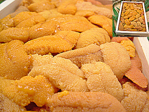 生うに 送料無料 100g×4個入生雲丹(生 ウニ)高級料亭・割烹・寿司店使用※代引決済は不可 送料込 価格限定 楽天 通販 価格 特価 販売 お土産