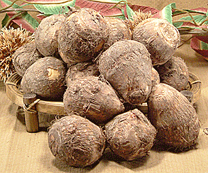 䌧 zOsY ㏯̗ Ƃ 5kg䌧Y̗ TgC C ㏯Ƃ㏯ ͂ 10`11{ yV ʔ i  ̔ yY