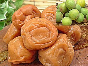 ~ @䌧Y@~@4kg䌧YiFg`@Ő̂Ȃ̔~ Ђłς~͂  i@|Cg10{ ʔ Ε Ε