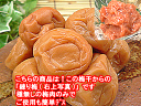 梅干し 訳あり品をねり梅に メール便 で 送料無料 お試し 200円+税 ぽっきり練り梅(梅肉) 50g×1個 入 1口だけのお試 用福井県産 梅干 訳あり品使... ランキングお取り寄せ