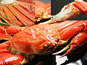  킢I Zbg B 킢 3+YCI g1350g +Jjg |[V9{  ɂ Zbg ɂ I  Jjʔ ɓ 7-9lOڈ Jj ʔ̂킢I |[V