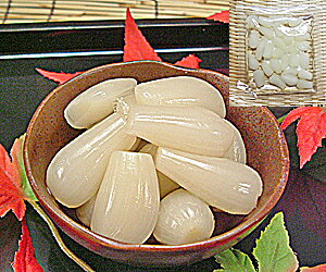 Mtgp 傤 |Ђ 70g×15ܓ Y Ð| 傤Ђ p Zbg wY YbLE 䌧Y Ol  ԃbL {Y Y