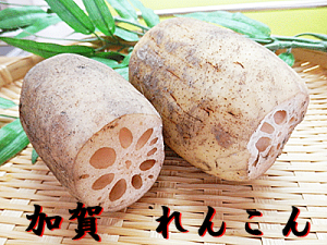  ꃌR  900g 񂱂 @ `ؐΐ쌧Y ΐY Y Y {YyV ʔ i ̔ yY LO Mtg