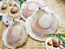 ホタテ ほたて貝 片貝 付き 30枚入ほたて片貝 ホタテのバター焼き バーベキュー に帆立 貝 ほたて 冷凍 品 帆立貝 殻付きホタテ貝 要 加熱調理 ホタテ 殻付き