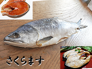 サクラマス 魚の人気商品 通販 価格比較 価格 Com
