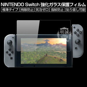 y2ZbgzNINTENDO Switch (jeh[ XCb`) KXtB NINTENDO Switch tیKXtB NINTENDO Switch یV[ KXیtB ʕیV[ jeh[ 