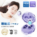 【昼夜兼用イヤホン】 寝ホン 2026年 最新型 睡眠用イヤホン ワイヤレス Bluetooth5.4 寝ながらイヤホン 軽量 超小型 カナル型 左右分離型 遮音 ノイズキャンセリング 高音質 ハンズフリー 通話可 コンパクト 自動ペアリング 90日安心保証付き 【PL保険加入済み製品・安心】