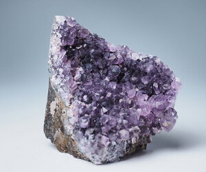 AWXgNX^[  540g EOACY _ AWXg NX^[