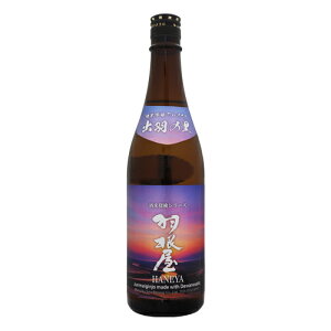 H ċ oH̗  720ml ĒTV[Y ͂˂ xe