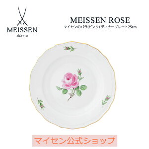 y}CZ/{㗝Xz }CZ }CZ̃o(sN) fBi[v[g25cm j M uhH   v[g 蕨