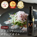 エキストラバージンオリーブオイル ICONO(アイコノ) FRUITY SPICY 250ml MEISTERWERK フルーティー スパイシー エクス…