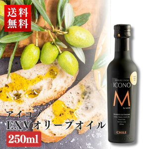 GLXgo[WI[uIC ICONO(ACRm) FRUITY SPICY 250ml MEISTERWERK t[eB[ XpCV[ GNXgo[W I[u GLXg@[W _x0.2 olive oil Y 