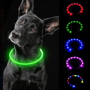 ySXi6OFFzʎ Ђ 1170~ ʂЂ LED ^ U CgUSB[d y    Cg邠ȂɏȌLڂɌĈSɕۂ LED   