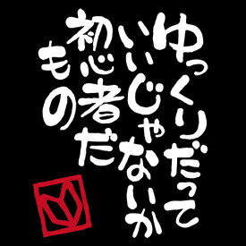 初心者マーク 若葉マーク 「初心者だもの」カッティングステッカー切り抜き文字 わかばマーク ビギナー ゆっくり走ります わかばまーく 車 おもしろ パロディ 新車 プレゼント おしゃれ 安全運転 筆文字 和風 和柄　1000円ポッキリ 送料無料