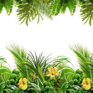 KX tB V[g p CNV[g tB KXtB  90cm×90cm 45cm×90cm O[ V[g tB KXtB  DIY UVJbg99 \Ă