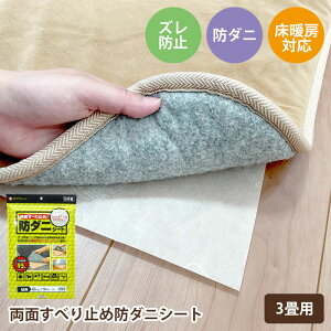 h_j Yh~V[g _jNA ~߃V[g DCS-3BE 170cmx260cm 3TCY _j}bg h_jV[g _j }bg J[ybg O _j΍ _jh~ YȂ zbgJ[ybg g