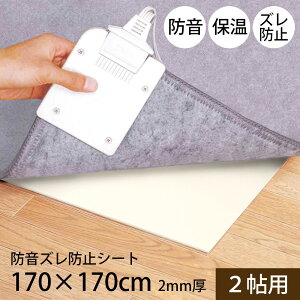 h Yh~ V[g 2 2 170×170cm 2mm YȂ ~ }bg q ybg  h}bg ۉ g[Ή J[ybg O t[O R hJr NbV Չ  }