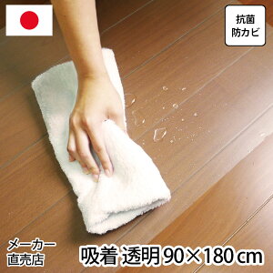 h LYی CNV[g 1TCY 90×180cm  { NA z R hJr \Ă͂ JbgOK h~  @ ȒP NA[ ی ~ ʏ  `FA