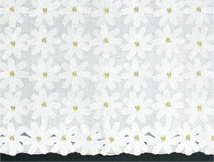 e[uZ^[ O[X [X e[ui[ 50cm×20m 킢 e[uEFA M-564 425640 