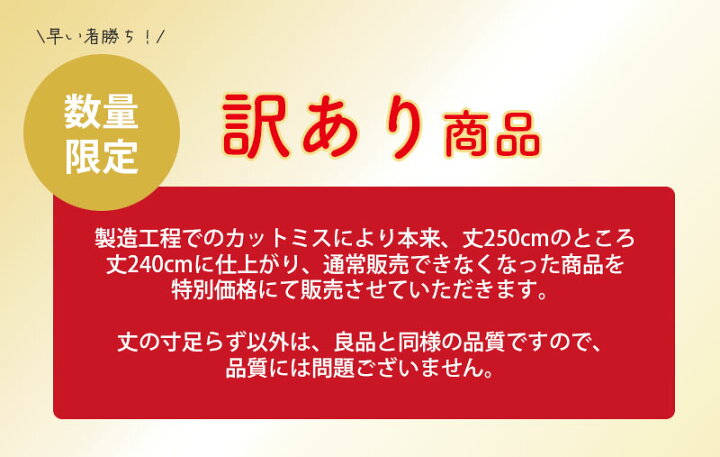 楽天市場】間仕切り のれん 冷気 遮断 保温 暖簾 透明 間仕切り 