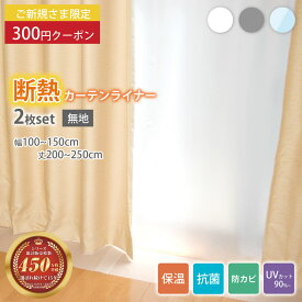 ビニールカーテン 断熱カーテンライナー 遮熱カーテン あったか 保温 保温 節電 遮光 採光 断熱シート 省エネ 防寒 寒さ対策 冷気を防ぐ 断熱 窓 冷気遮断 抗菌 防カビ UVカット 無地 シンプル 透明 100×200cm 100×225cm 150×225cm 掃き出し窓 明和グラビア RSL