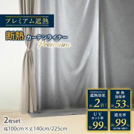 断熱カーテン ビニールカーテン 断熱カーテンライナー 遮光カーテン プレミアム 断熱 防カビ シルバー 暑さ対策 西日対策 遮熱シート 100×140cm 100×225cm 2枚組 寒さ対策 冷気を防ぐ 遮光 窓 冷気遮断 冷暖房効率UP 省エネ UVカット シンプル RSL