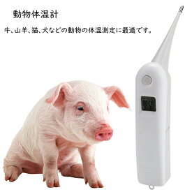 動物・ペット用デジタル 直腸体温計 高精度 ペット体温計 動物体温計 電子体温計 耐久性 操作簡単 豚 羊 牛 犬 猫 馬 デジタル体温計 ペット犬猫、豚 家禽 動物体温計
