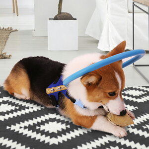 yopybgی샊OIN[|IzڂȂp O n[lX ybg یxXg puChJ[ tFCXK[h  V ybgJ[ pi Փ˖h~ 