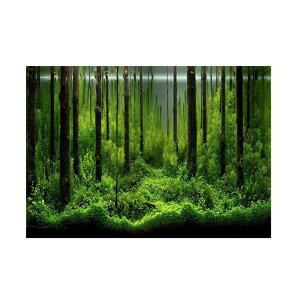 wi|X^[  ̃^Nwi XebJ[ |X^[ h  (91 * 50cm)